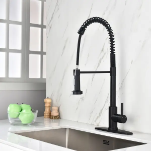 Kitchen faucet with pull-down sprayer