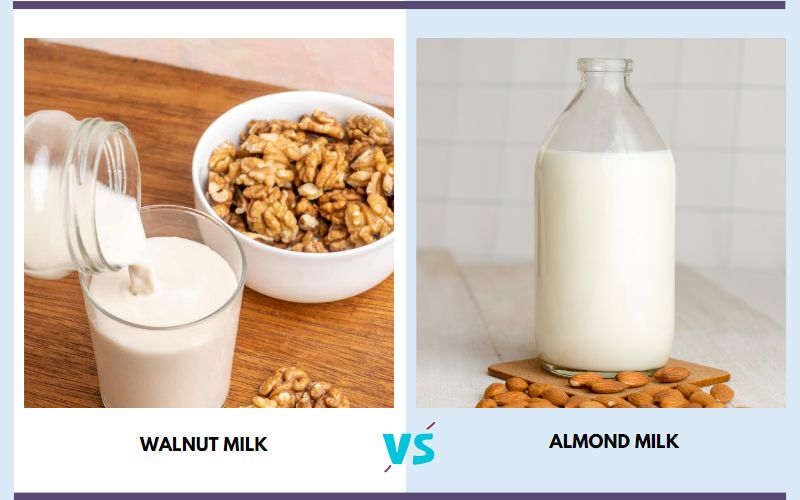 The Ultimate Nutritional Showdown: Walnut Milk Vs Almond Milk » Find ...